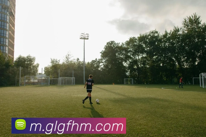 多媒体互动体验